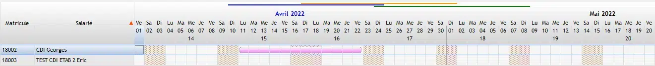 Saisie de l'activité
