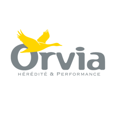 orvia-logo-reference-client