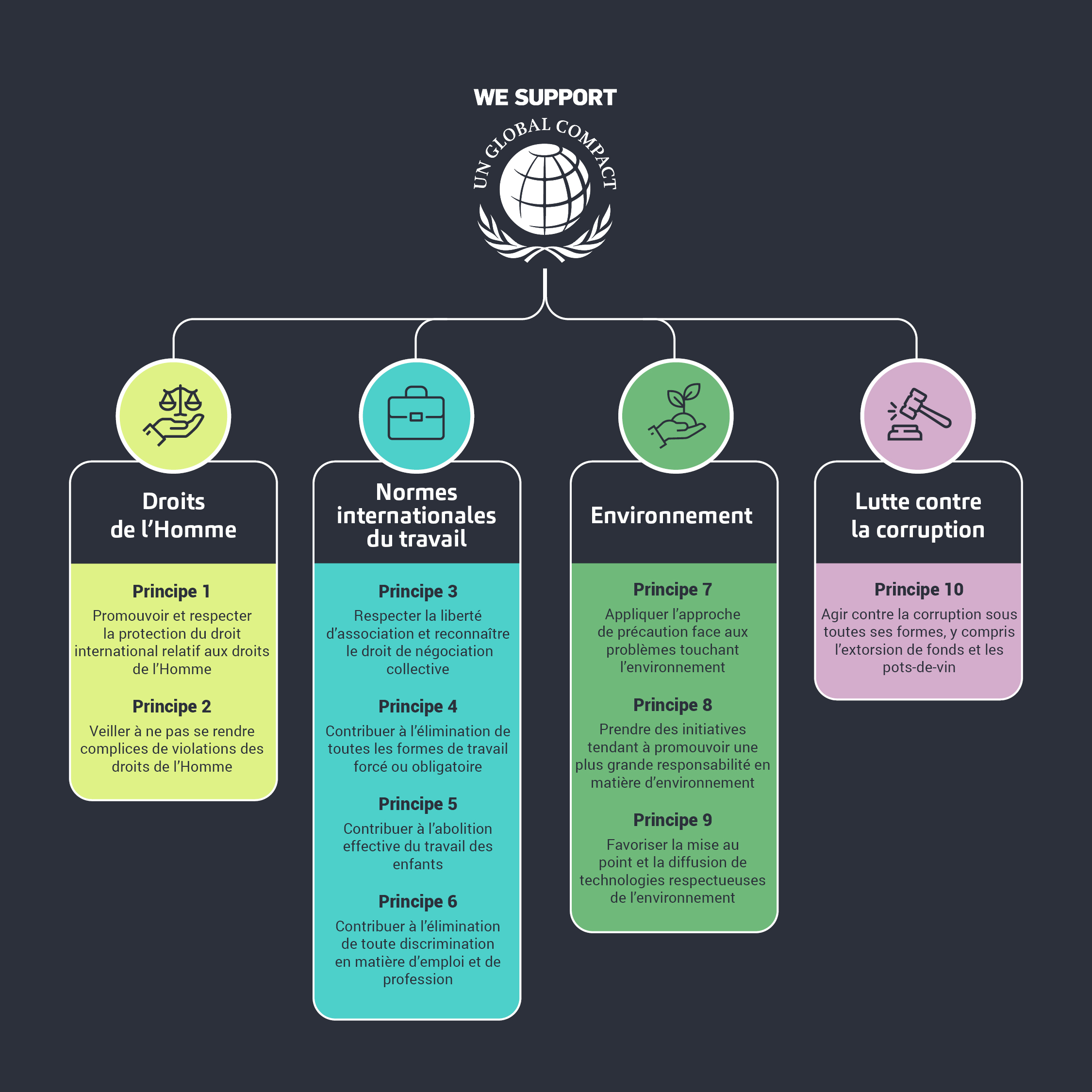 visuel global compact