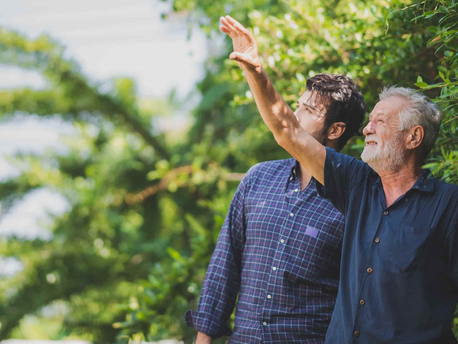 Image de présentation