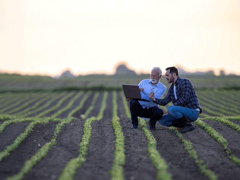 agriculteur et son conseiller dans un champ de terre