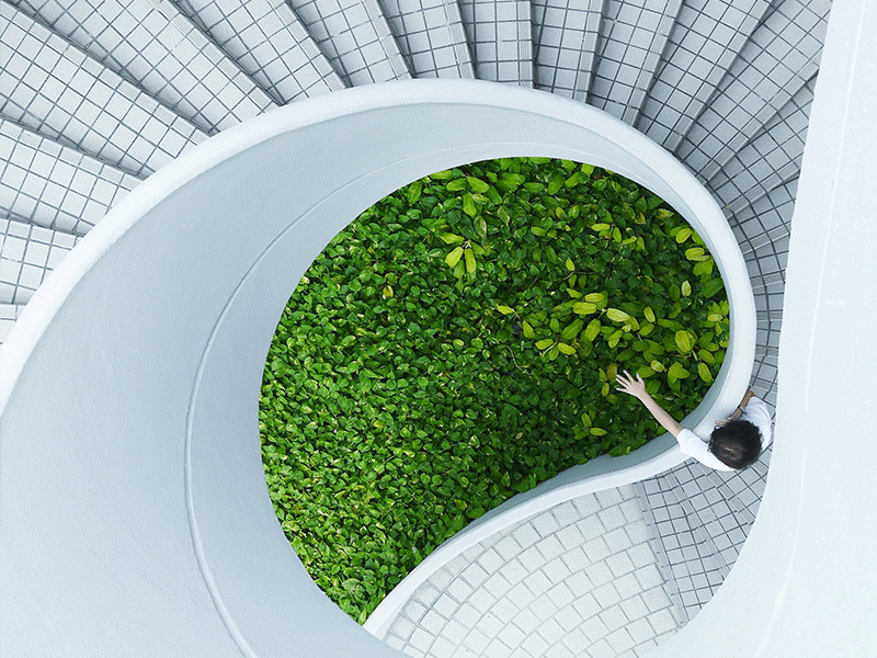 Image de présentation