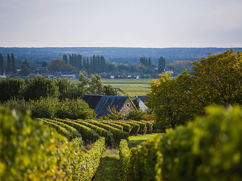 Image de présentation