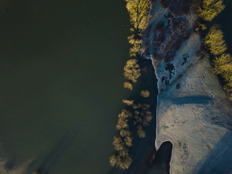 Image de présentation