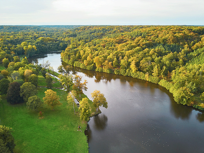 Image de présentation