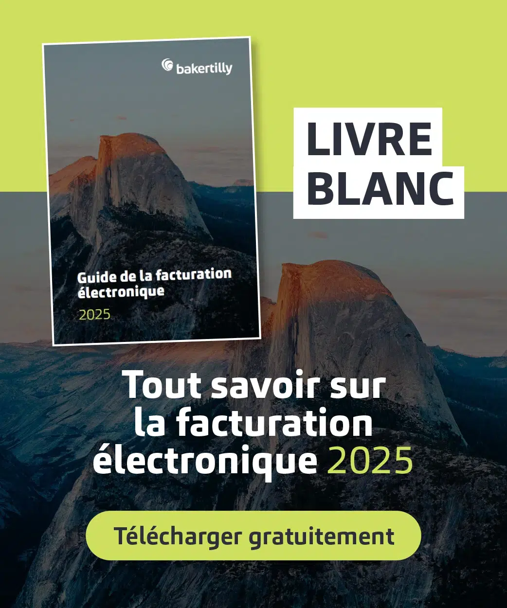 Téléchargement livre blanc facturation électronique
